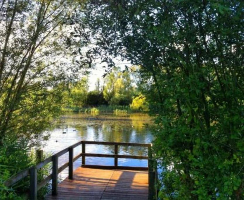 Heathrow Airport Bedfont Lakes 2 Bedroom Apartment London