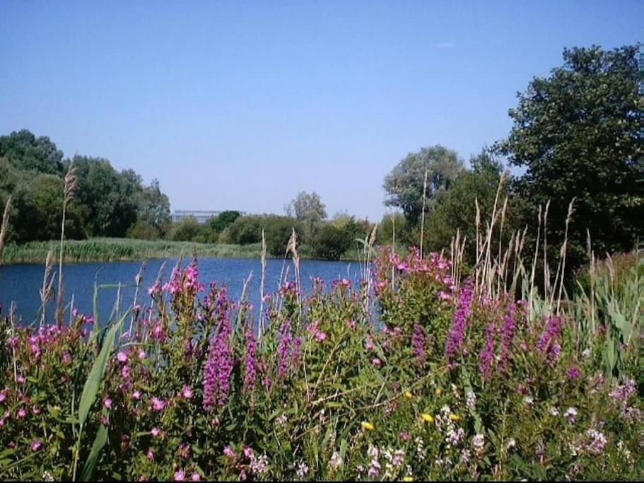 Heathrow Airport Bedfont Lakes 2 Bedroom Apartment